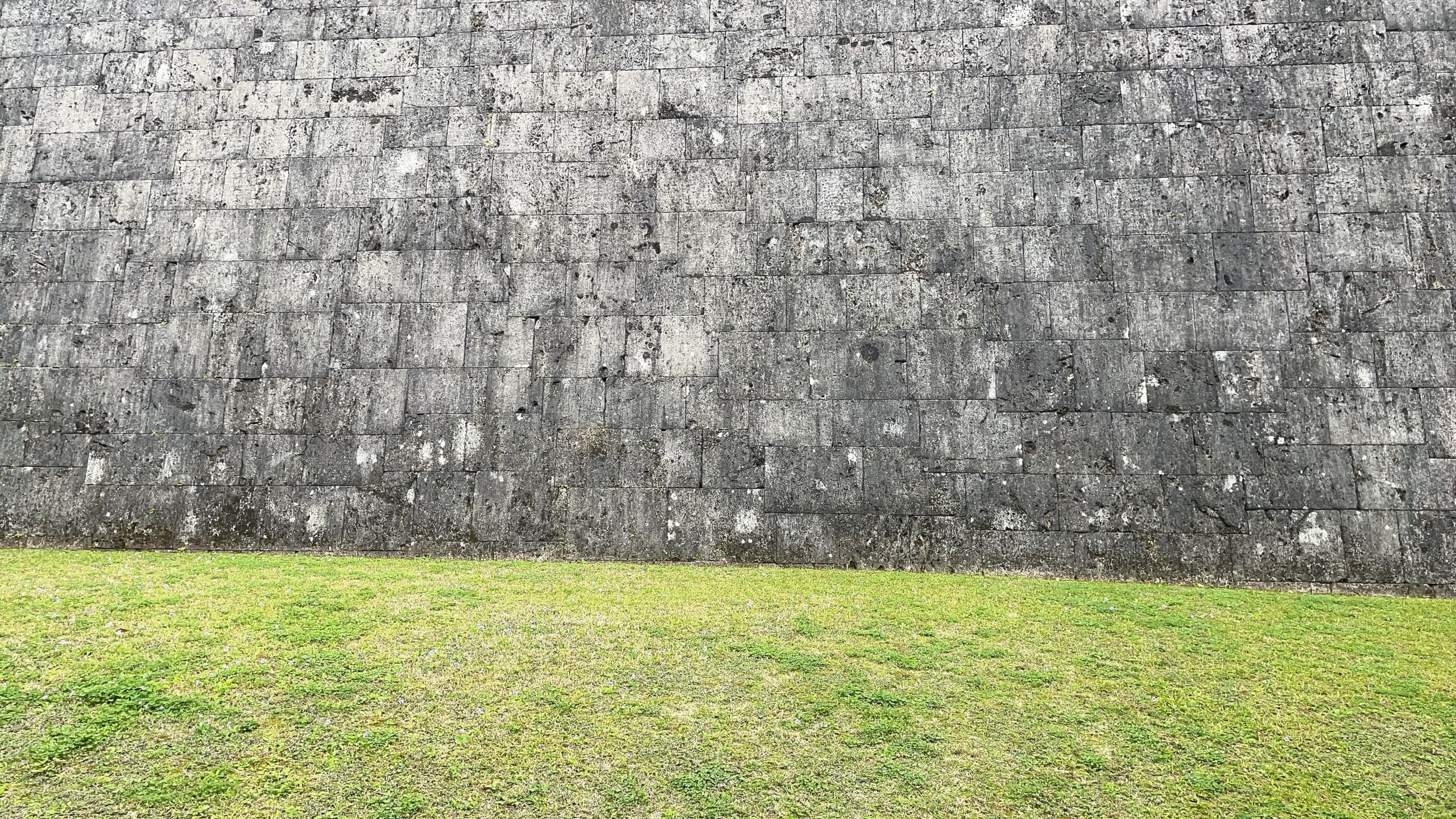 img-7970.jpg